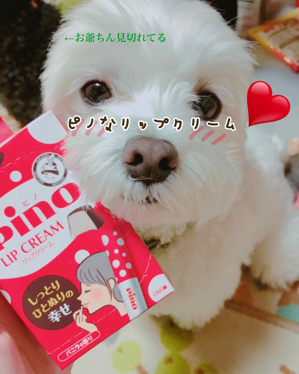 メンタームリップピノ/メンターム/リップクリームを使ったクチコミ(1枚目)