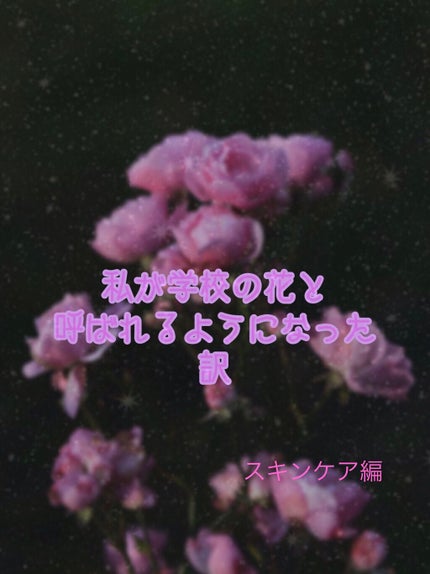ハトムギ化粧水(ナチュリエ スキンコンディショナー R )/ナチュリエ/化粧水を使ったクチコミ(1枚目)