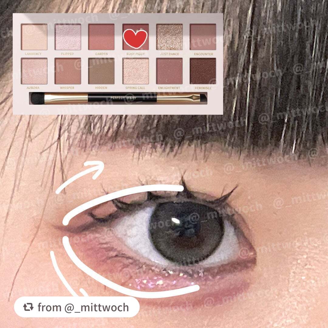 エクスプローラ12色 動物アイシャドウパレット/PERFECT DIARY/アイシャドウパレットを使ったクチコミ(3枚目)