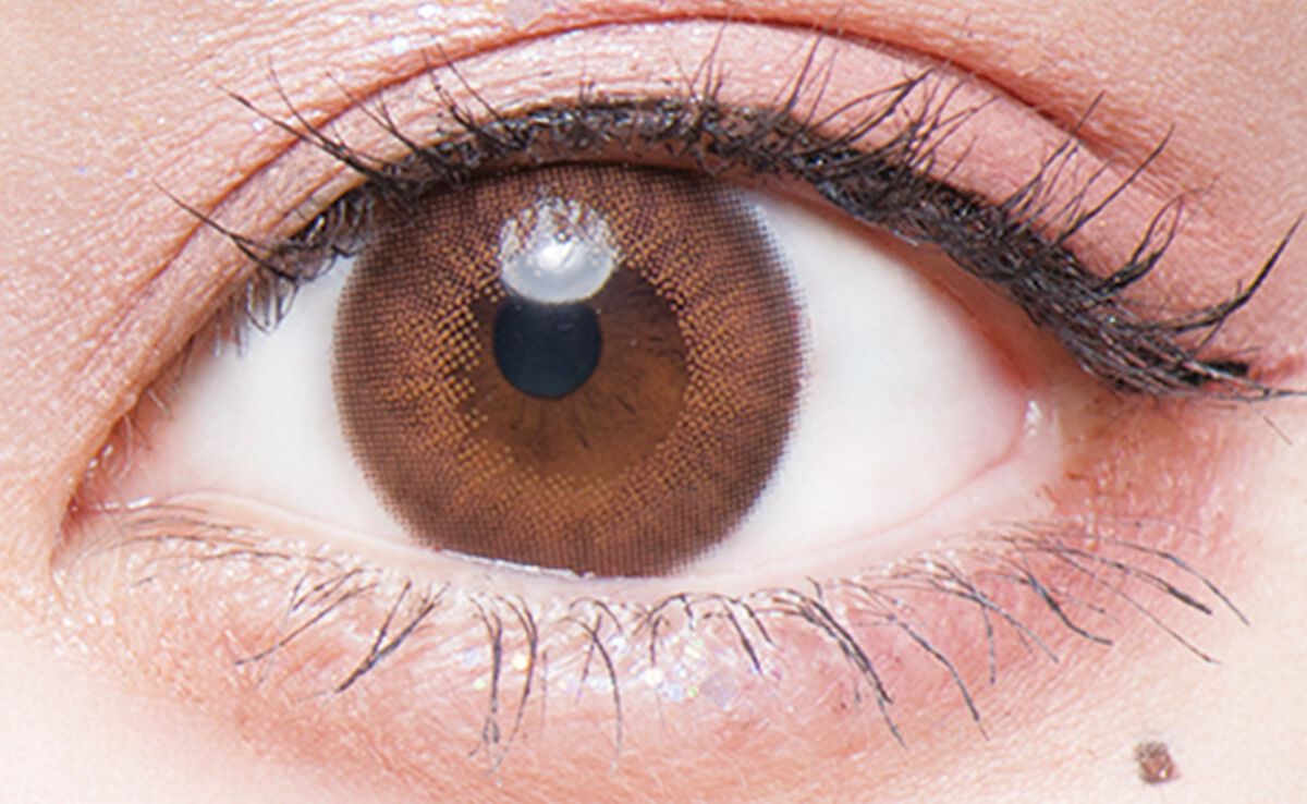 Flurry by colors 1day モカダークブラウン(うるうるチワワ)