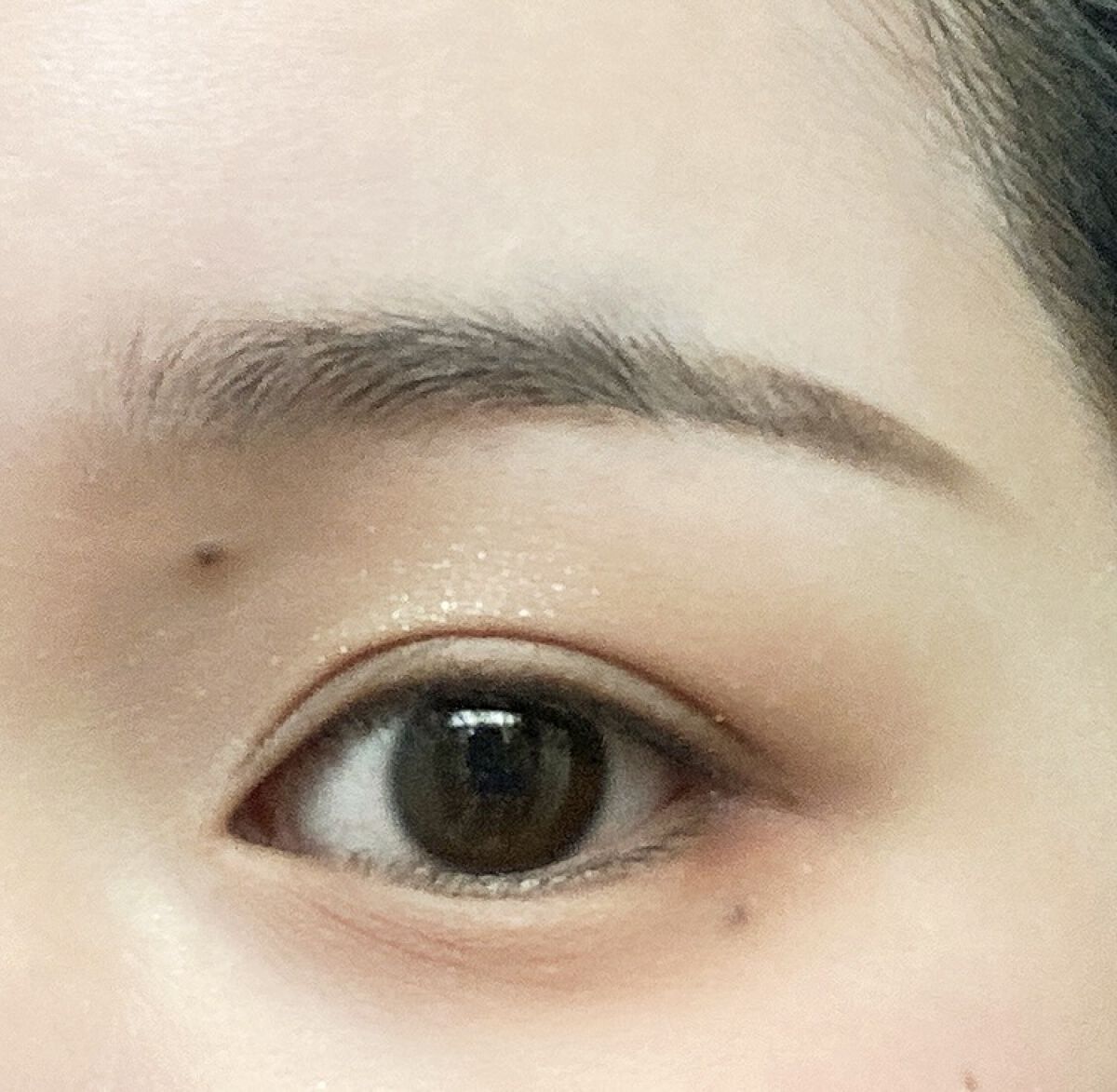 プロ アイ パレット/CLIO/アイシャドウパレットを使ったクチコミ（1枚目）