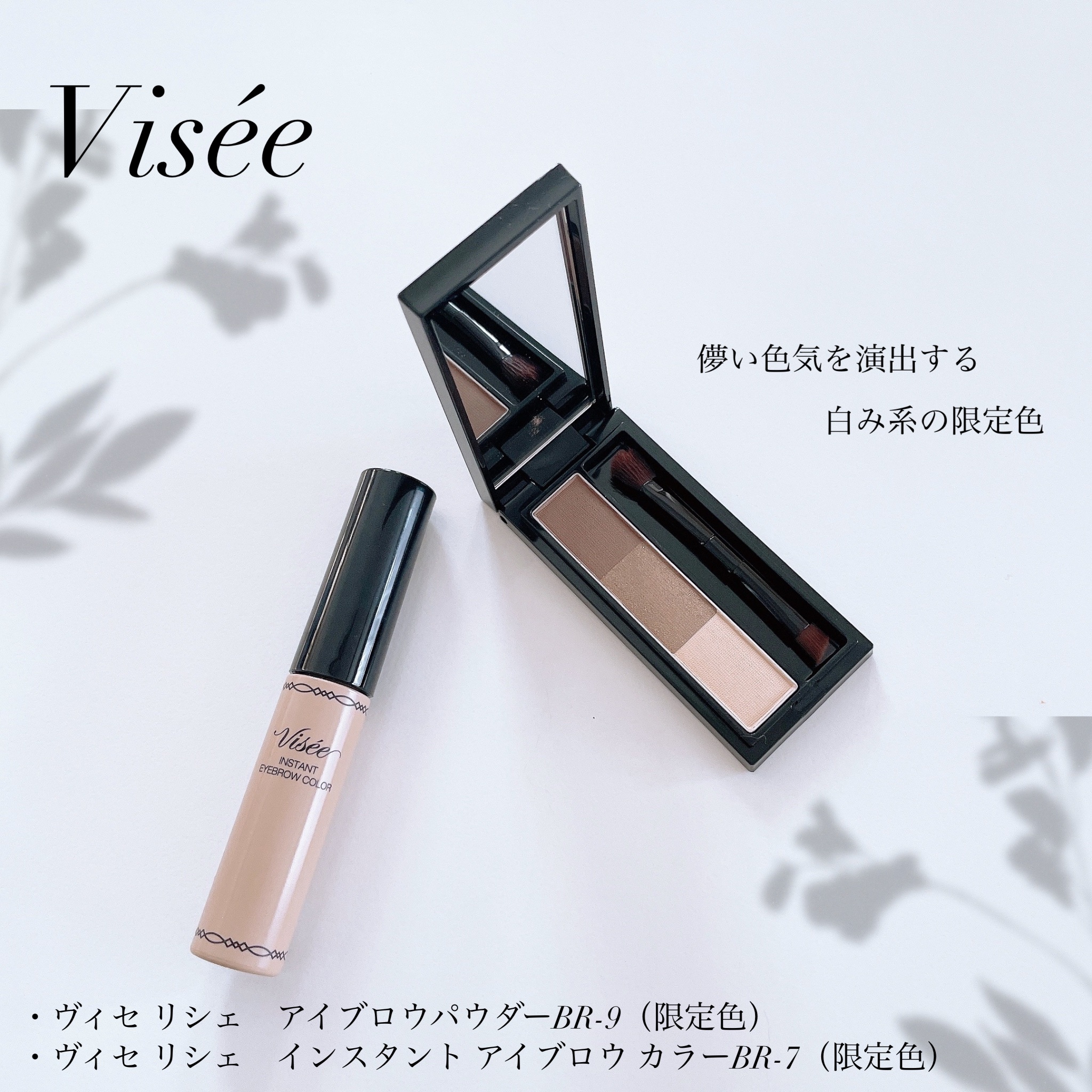 ヴィセ リシェ インスタント アイブロウ カラー/Visée/眉マスカラを使ったクチコミ（1枚目）