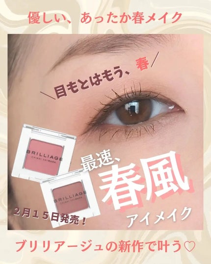 ワンダークリエイション /ブリリアージュ/単色アイシャドウを使ったクチコミ(1枚目)