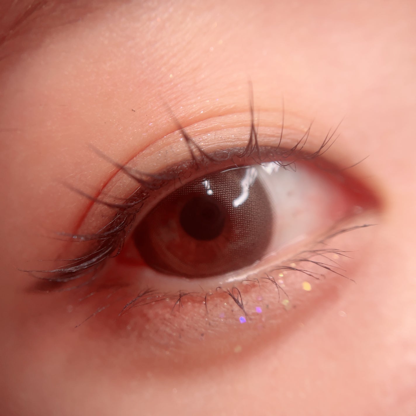 メランジェシュエット マリーグレース/melange+chouette/ワンデー(1DAY)カラコンを使ったクチコミ(2枚目)