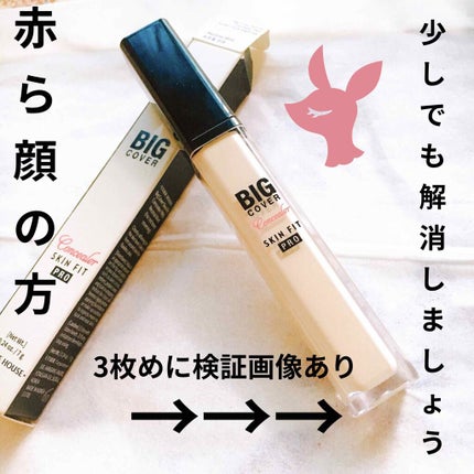 ビッグカバーフィットコンシーラー/ETUDE/リキッドコンシーラーを使ったクチコミ(1枚目)