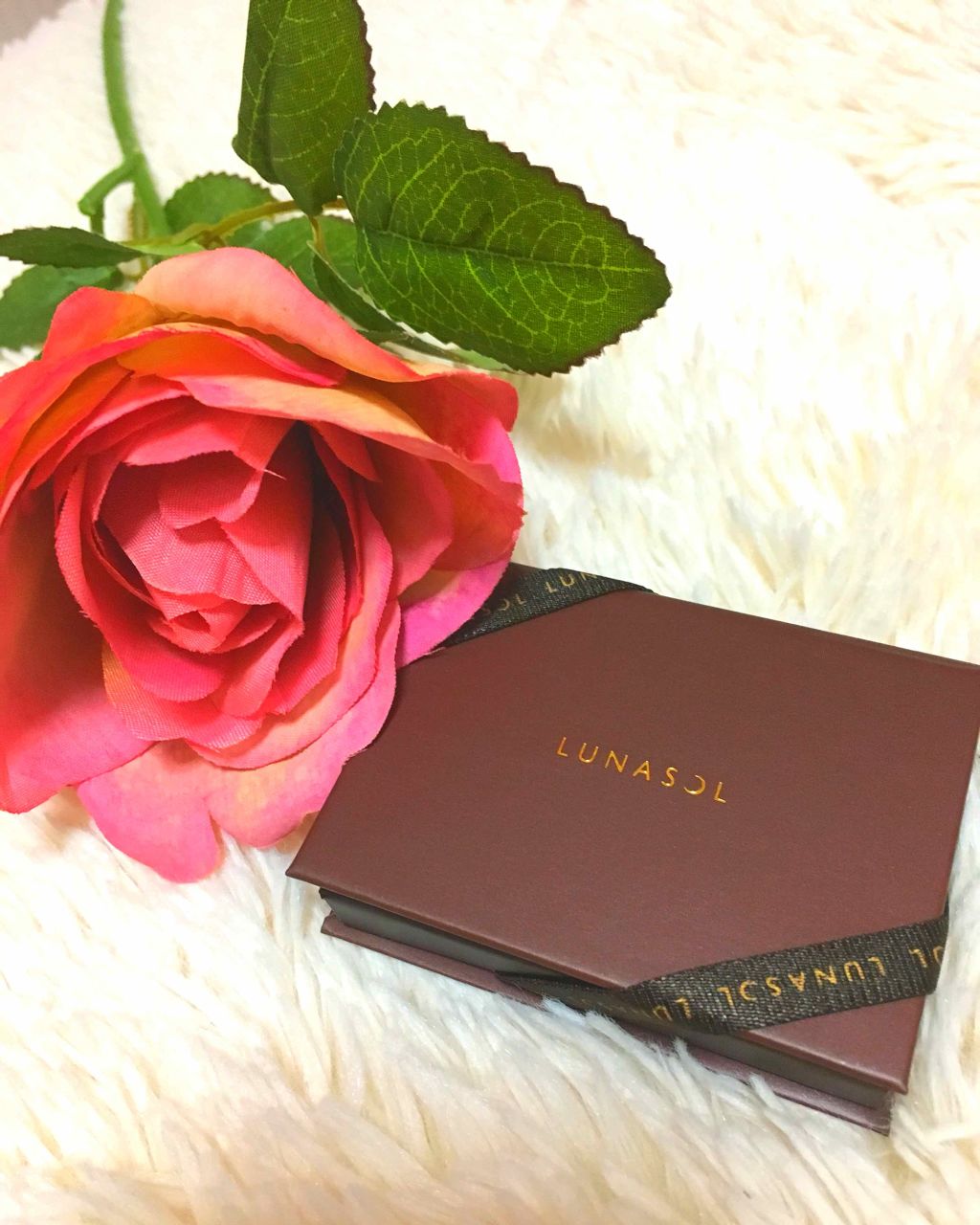 デュオ・ドゥ・ショコラアイズ/LUNASOL/アイシャドウパレットを使ったクチコミ（1枚目）