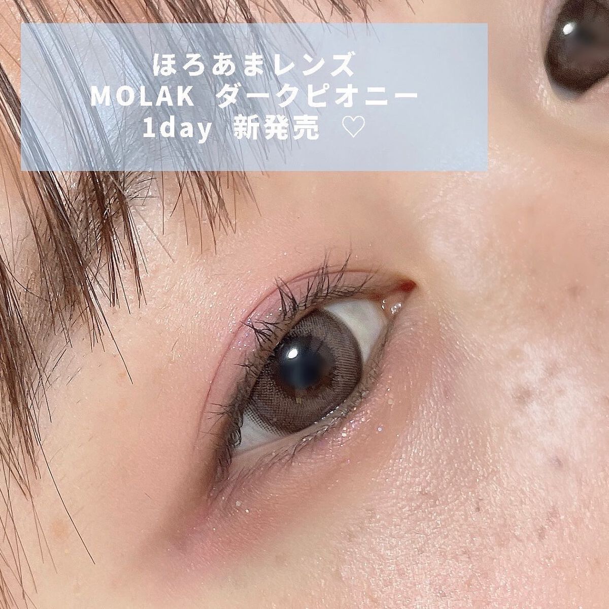 MOLAK 1day/MOLAK/ワンデー(1DAY)カラコンを使ったクチコミ(1枚目)