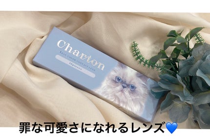 Charton 1day/Charton/ワンデー(1DAY)カラコンを使ったクチコミ(1枚目)