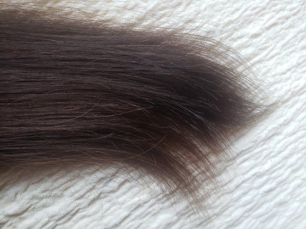 シースルーグロスシャンプー/トリートメント/rasica/市販シャンプーを使ったクチコミ(5枚目)