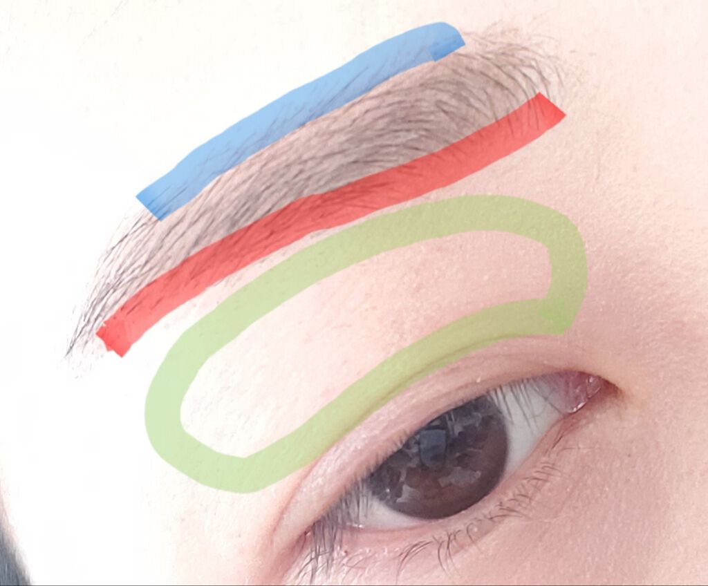 bi-hada ompa L ホルダー替刃2個付/貝印/シェーバーを使ったクチコミ(1枚目)