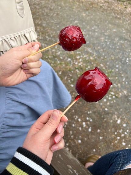 3D 1DAYマツエクEYELASH /ダイヤモンドラッシュ/つけまつげを使ったクチコミ(6枚目)