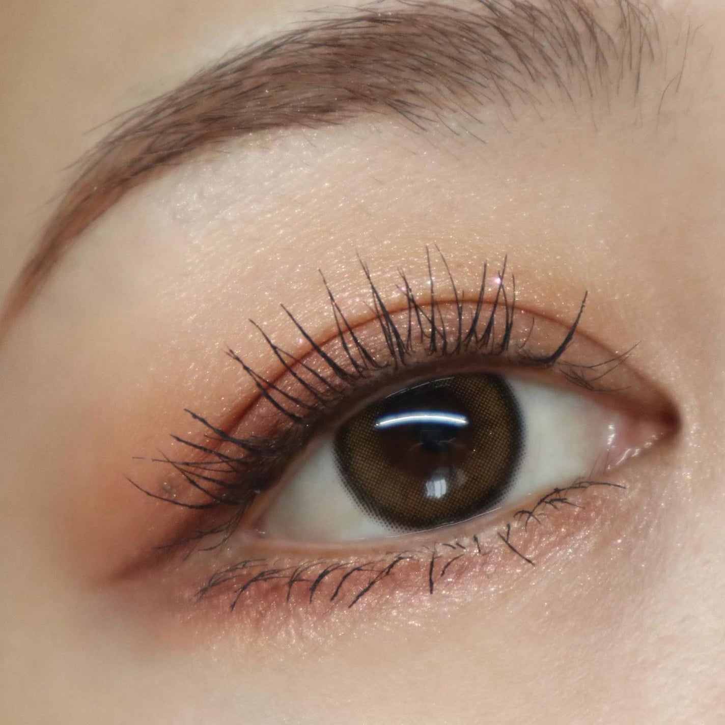 スキニーリッチシャドウ/excel/アイシャドウパレットを使ったクチコミ(8枚目)