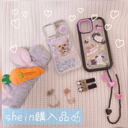ヘアクリップ/SHEIN/ヘアアクセサリーを使ったクチコミ(1枚目)