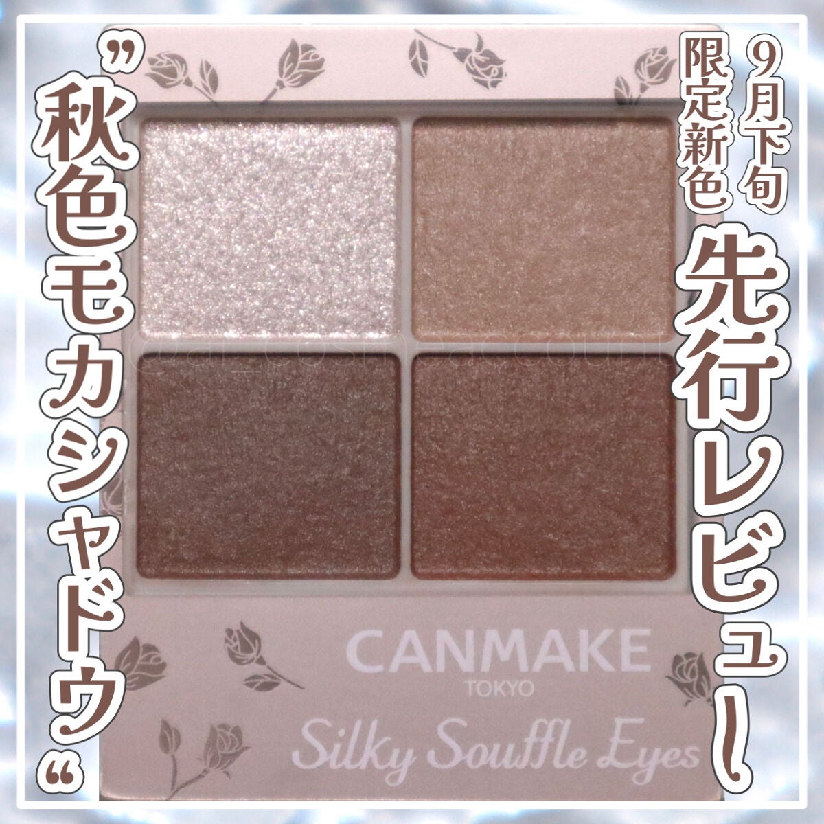 シルキースフレアイズ(マットタイプ)/キャンメイク/アイシャドウパレットを使ったクチコミ(1枚目)