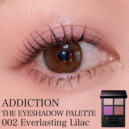 アディクション ザ アイシャドウ パレット/ADDICTION/アイシャドウパレットを使ったクチコミ(1枚目)
