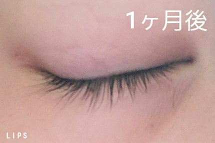 スカルプD ボーテ ピュアフリーアイラッシュセラム/アンファー(スカルプD)/まつげ美容液を使ったクチコミ(3枚目)