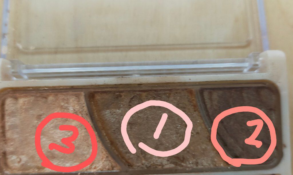 トーンアップアイシャドウ/CEZANNE/アイシャドウパレットを使ったクチコミ（2枚目）