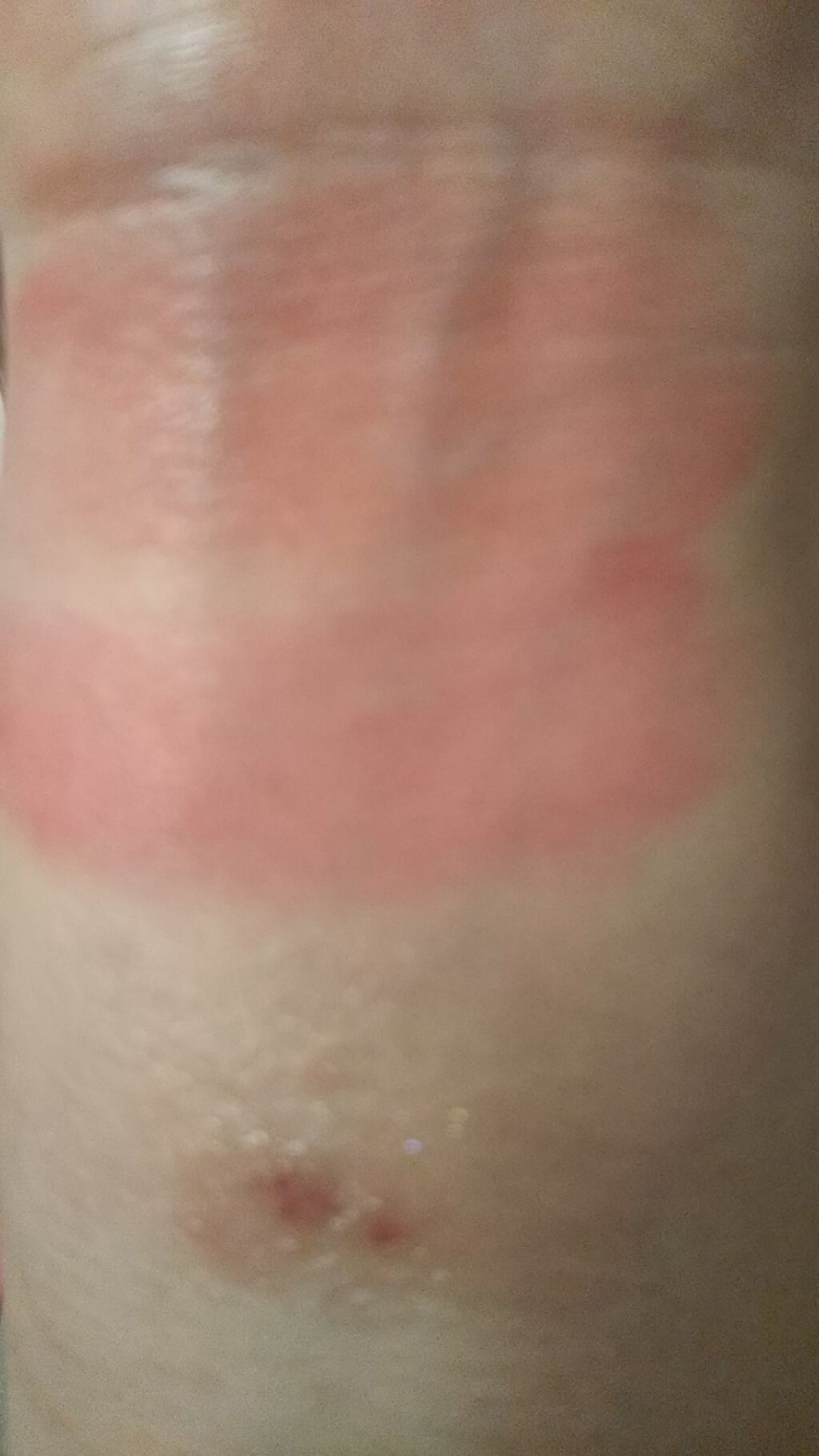 スリートーンリップパレット/キャンドゥ/リップグロスを使ったクチコミ（3枚目）