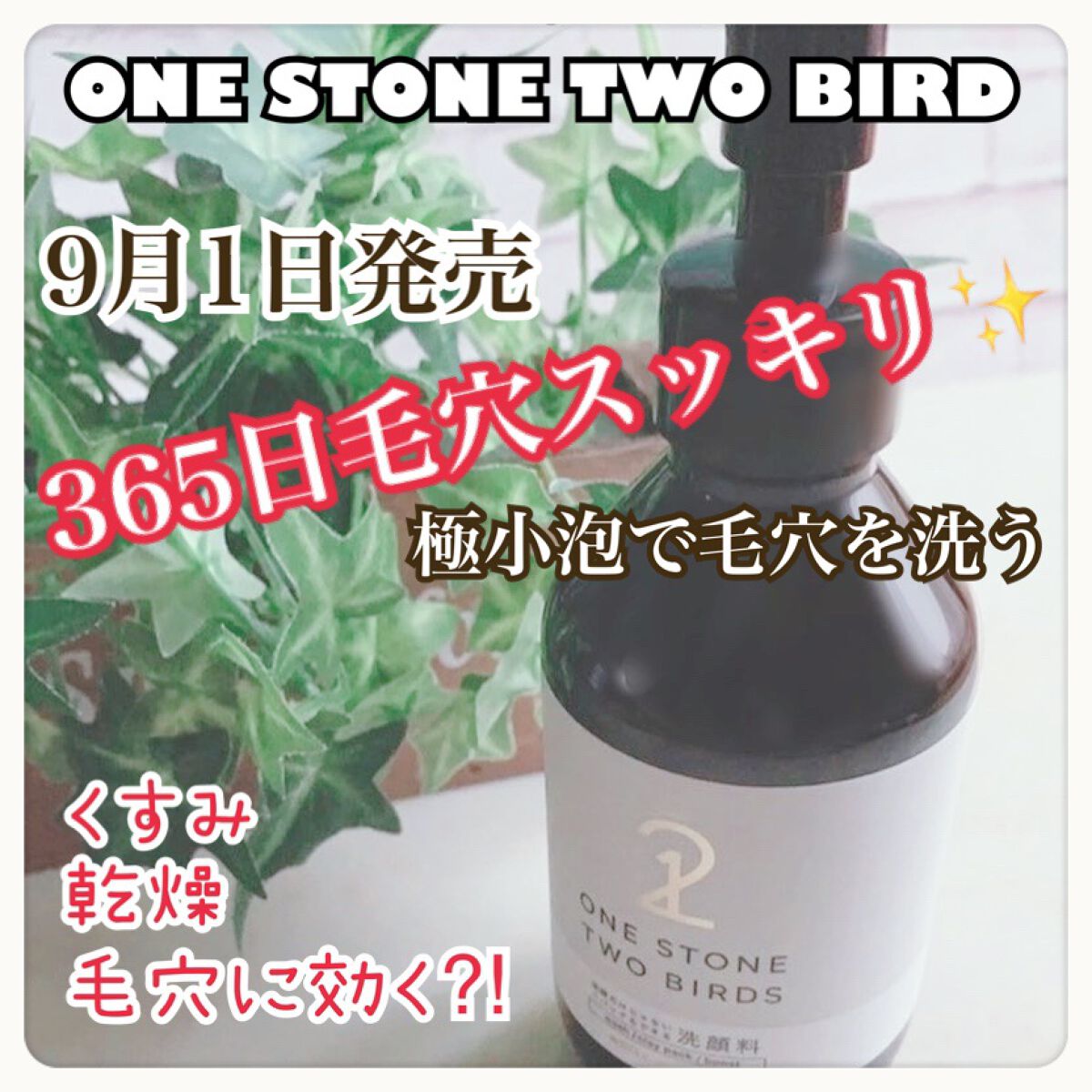 洗顔だけじゃない+パックもできる洗顔料 ホワイトプレミアム/ONE STONE TWO BIRDS/その他洗顔料を使ったクチコミ(1枚目)
