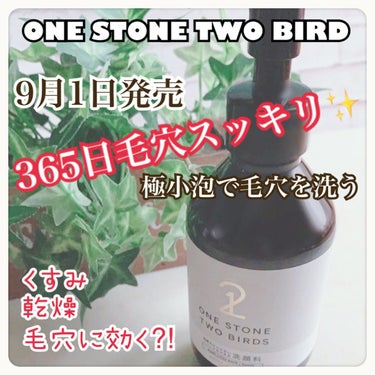 洗顔だけじゃない＋パックもできる洗顔料 ホワイトプレミアム/ONE STONE TWO BIRDS/洗顔フォームを使ったクチコミ（1枚目）