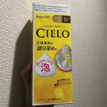 ムースカラー/CIELO/ヘアカラーを使ったクチコミ（1枚目）