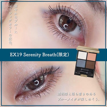 アイカラーレーション EX19 Serenity Breath（限定発売）/LUNASOL/アイシャドウパレットを使ったクチコミ（3枚目）