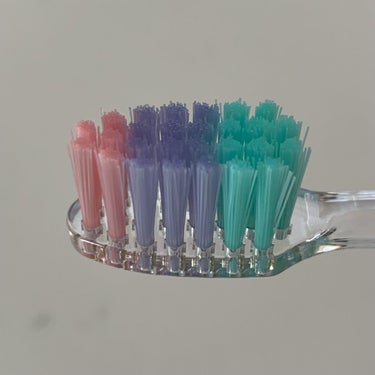 プログリップハブラシ　typeⅠ/エビス/歯ブラシを使ったクチコミ（8枚目）