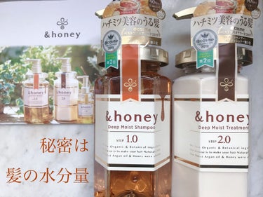 ディープモイスト シャンプー1.0／ヘアトリートメント2.0/&honey/シャンプー・コンディショナーを使ったクチコミ（1枚目）