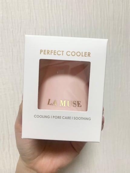 パーフェクトクーラー/ラミューズ/その他スキンケアグッズを使ったクチコミ(5枚目)