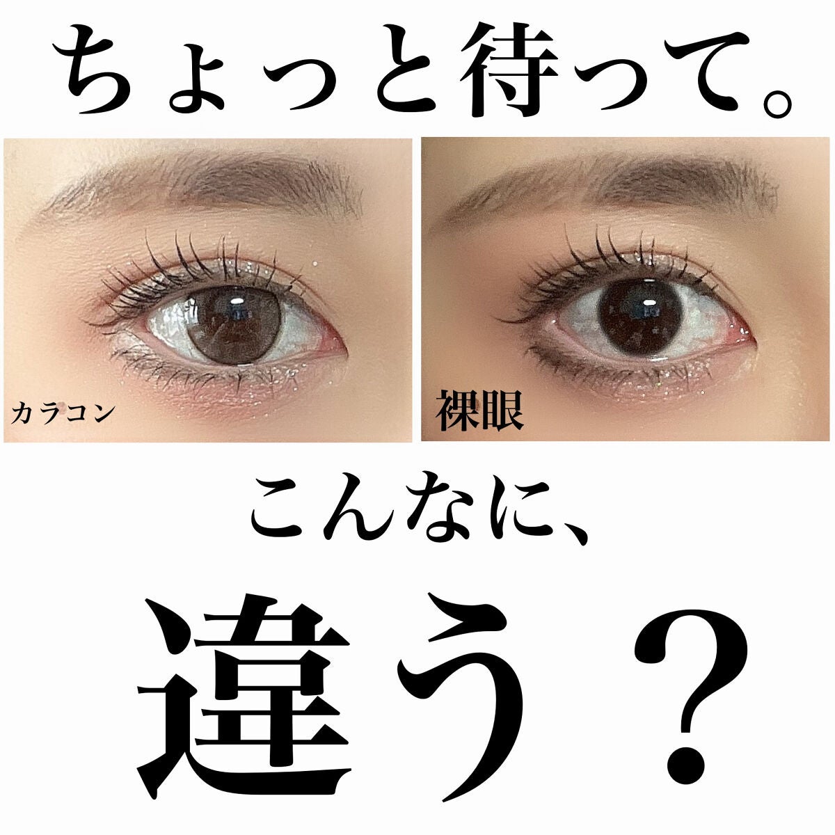 エバーカラーワンデー ナチュラル/エバーカラー/ワンデー(1DAY)カラコンを使ったクチコミ(1枚目)