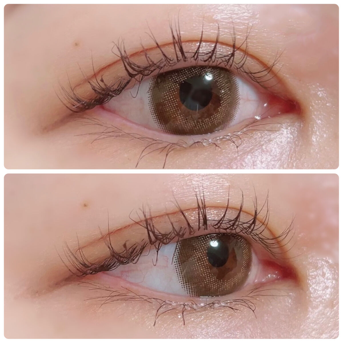 N’s COLLECTION 1day/N’s COLLECTION/ワンデー（１DAY）カラコンを使ったクチコミ（3枚目）