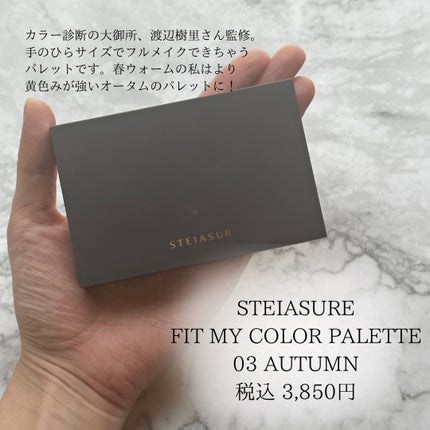 フィット my カラーパレット/STEIASUR(ステイアシュール)/マルチパレットを使ったクチコミ(2枚目)