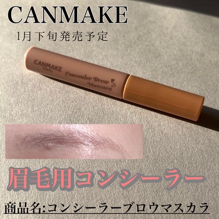 コンシーラーブロウマスカラ/キャンメイク/その他アイブロウを使ったクチコミ(1枚目)