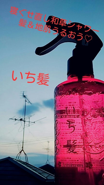 髪&地肌うるおう寝ぐせ直し和草シャワー/いち髪/ヘアミストを使ったクチコミ(1枚目)