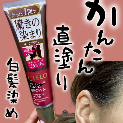 カラートリートメント リタッチ用/CIELO/ヘアカラーを使ったクチコミ(1枚目)