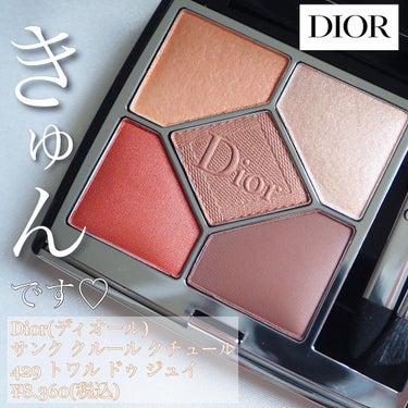 【旧】サンク クルール クチュール/Dior/パウダーアイシャドウを使ったクチコミ（1枚目）