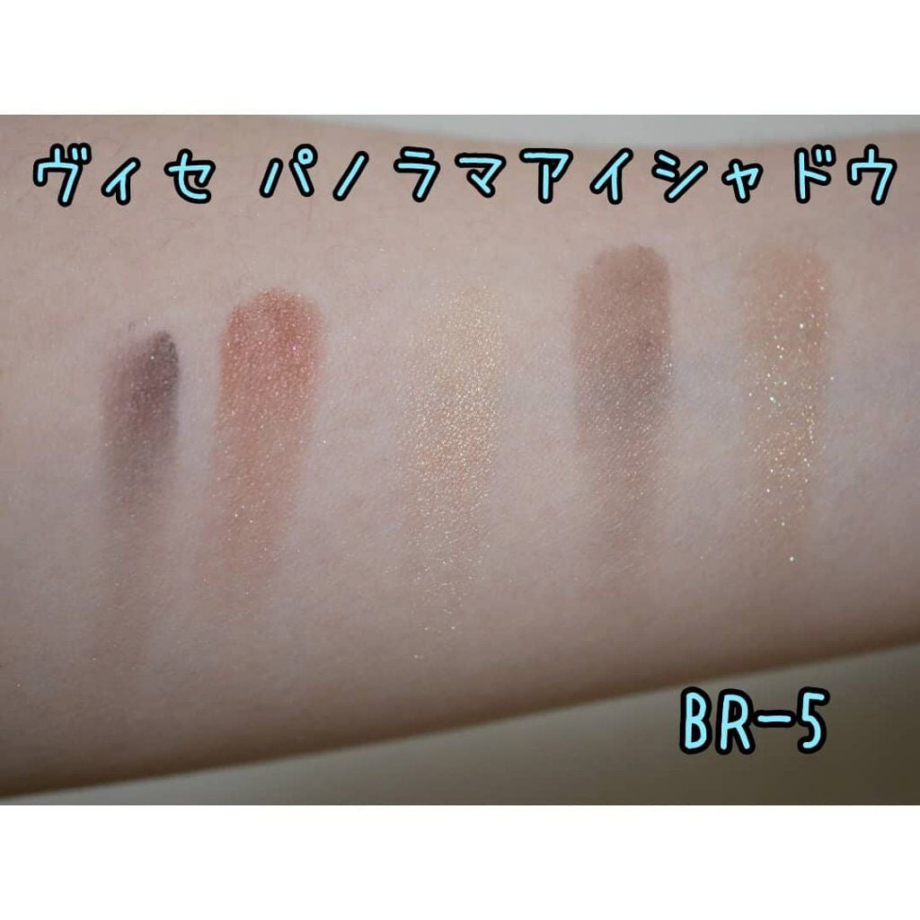 パノラマデザイン アイパレット/Visée/アイシャドウパレットを使ったクチコミ(4枚目)