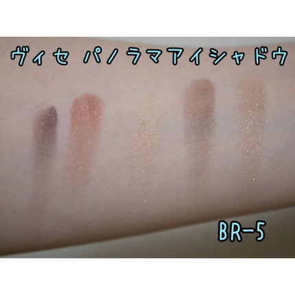 パノラマデザイン アイパレット/Visée/アイシャドウパレットを使ったクチコミ(4枚目)