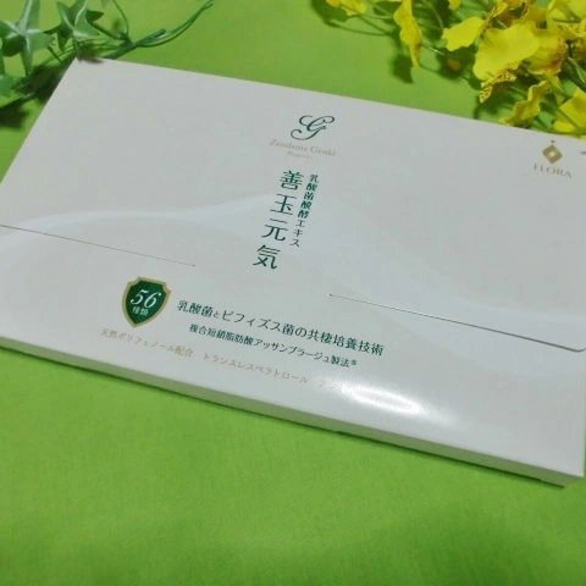 善玉元気/FLORA/健康サプリメントを使ったクチコミ(1枚目)