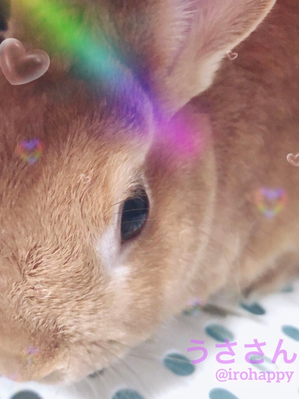 ジーニッシュ/ジーニッシュマニキュア/マニキュアを使ったクチコミ(4枚目)