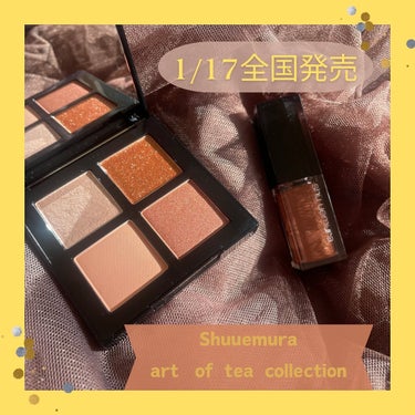 クロマティックス クワッド/shu uemura/アイシャドウパレットを使ったクチコミ（1枚目）