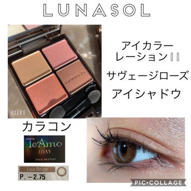 アイカラーレーション/LUNASOL/パウダーアイシャドウを使ったクチコミ（1枚目）