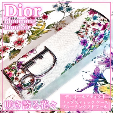 【旧】ディオールアディクトリップスティック(ケース)/Dior/その他を使ったクチコミ（1枚目）