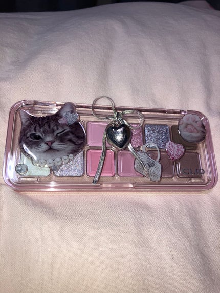 プロ アイ パレット エアー/CLIO/アイシャドウパレットを使ったクチコミ(2枚目)