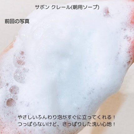 バーズ ナチュレ/P.G.C.D.(ペー・ジェー・セー・デー)/日焼け止めローションを使ったクチコミ(4枚目)