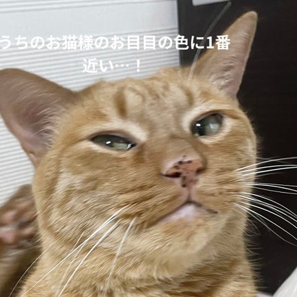 チャンス ワンデー/CHANCE/ワンデー(1DAY)カラコンを使ったクチコミ(3枚目)