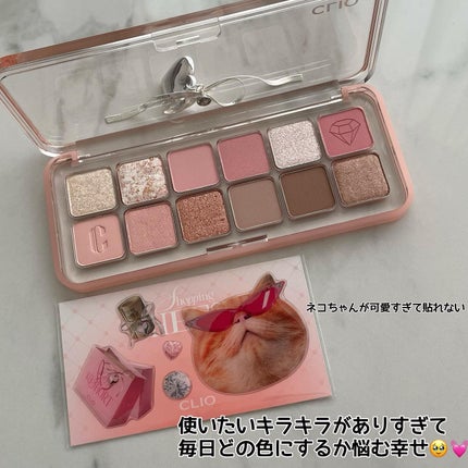 プロ アイ パレット エアー/CLIO/アイシャドウパレットを使ったクチコミ(2枚目)