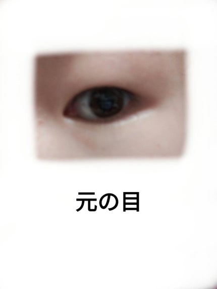 フリーファイバー120 スタンダードタイプ /メザイク/二重まぶた用アイテムを使ったクチコミ(7枚目)