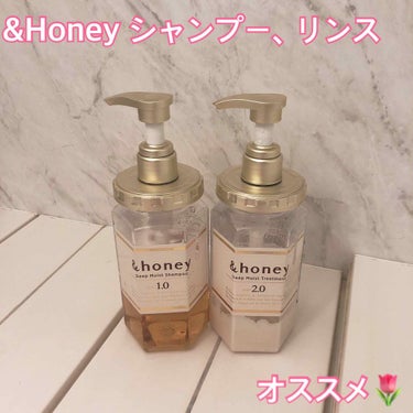 ディープモイスト シャンプー1.0／ヘアトリートメント2.0/&honey/シャンプー・コンディショナーを使ったクチコミ（1枚目）