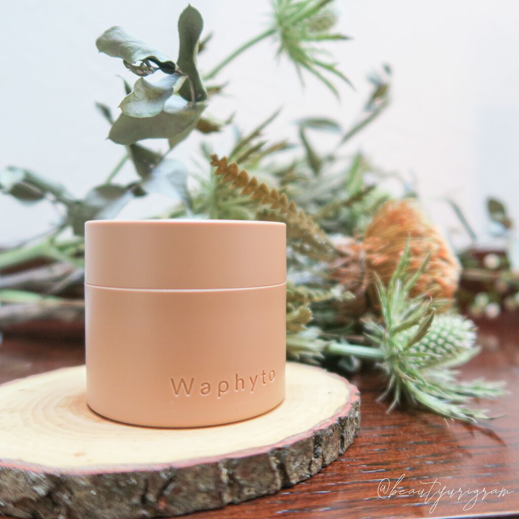 Regena Enriched Cream レジェナ エンリッチドクリーム/Waphyto/フェイスクリームを使ったクチコミ（1枚目）